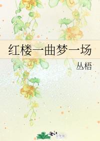 A Dream in the Red Chamber