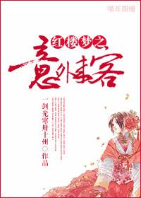 A Dream of Red Mansions Unexpected Visitors