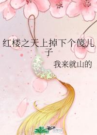 A silly son fell from the sky of the Red Chamber