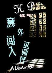 Accidentally broke into the wizarding world