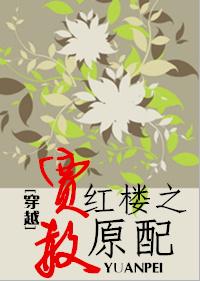 Across the Red Mansion: Jia Amnesty's original partner