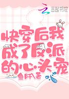 After fast time travel, I became the favorite of the villain