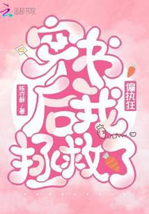 After I Traveled Through the Book, I Saved the Paranoid