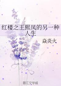 Another life of Xifeng, the king of the Red Chamber