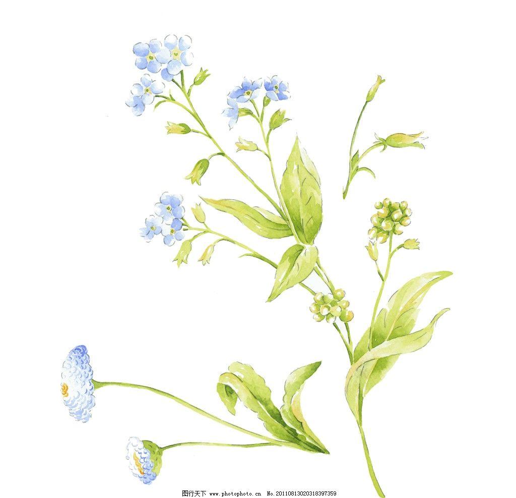 Aokiji and patients with skin diseases