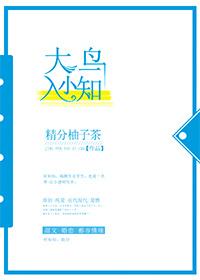 Big bird enters small knowledge