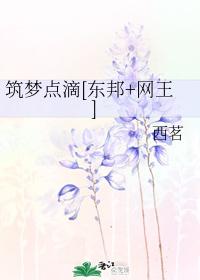 Building a dream bit by bit [Toho + Net King]