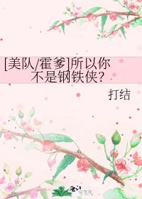 [Captain Huo Daddy] So you're not Iron Man?