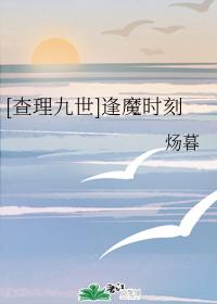 [Charles IX] The magic hour