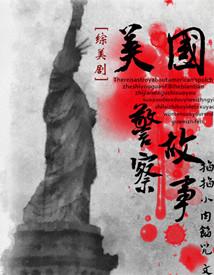 [Comprehensive] American Police Story