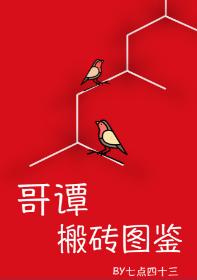 [Comprehensive British and American] Gotham moving bricks illustrated book