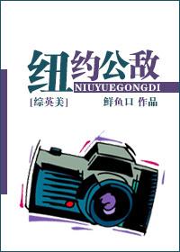 [Comprehensive British and American] Public Enemy of New York