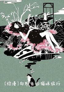 [Comprehensive] Cat Travel in the Sunshine