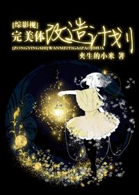 [Comprehensive Film and Television] Perfect Body Transformation Plan