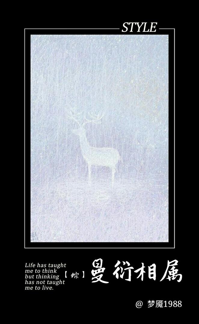 Comprehensive film and television