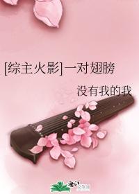 [Comprehensive Hokage] A pair of wings