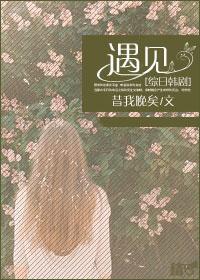 [Comprehensive Japanese Korean Drama] Encounter