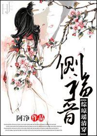 [Comprehensive Qing Dynasty] Side Fujin