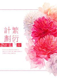 [comprehensive] reproduction plan