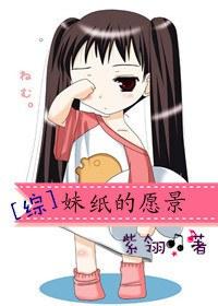 [Comprehensive] Sister Paper's Vision