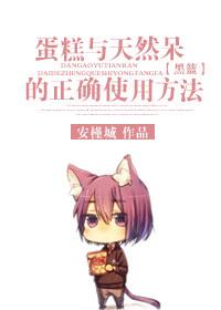 [Comprehensive] The correct use of cake and natural stay