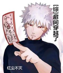 [Comprehensive] The door has passed through