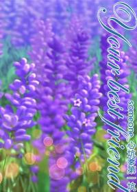 [Conan Crossover] Your best friend