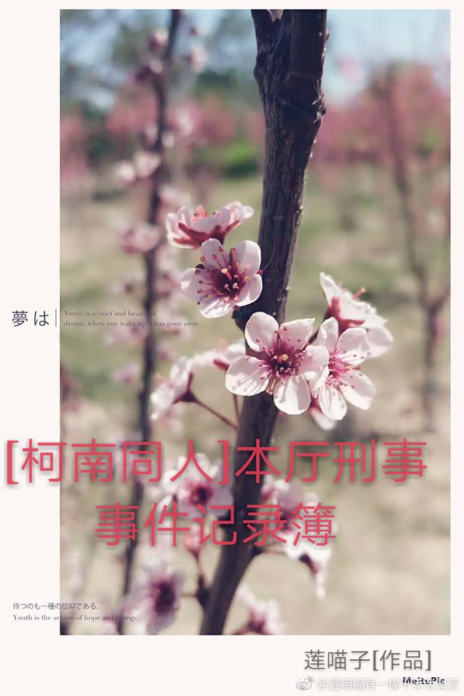 [Conan Doujin] Main Office Criminal Case Record Book