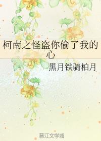 Conan The Phantom Thief You Stole My Heart