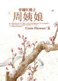 Concubine Zhou through the Red Mansions