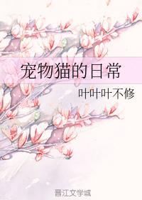 Daily life of pet cat