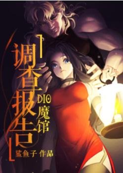 DIO Magic House Investigation Report