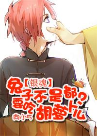 Don't rabbits eat carrots?