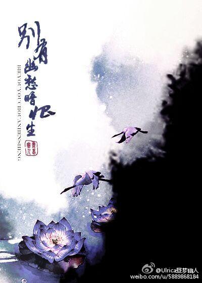 don't worry about life