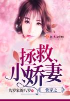 Fast Time Travel: Rescue the Little Wife