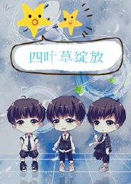 four-leaf clover bloom