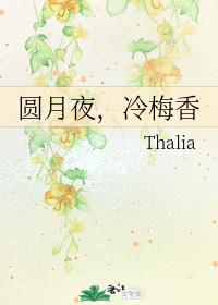 Full moon night, cold plum fragrance