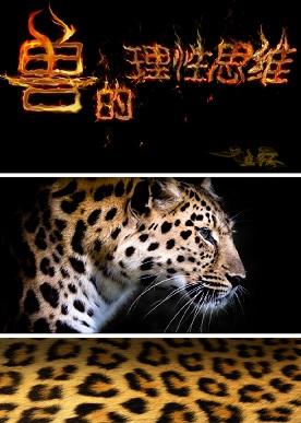 [FZ+Special Biography]: Beast's Rational Thinking