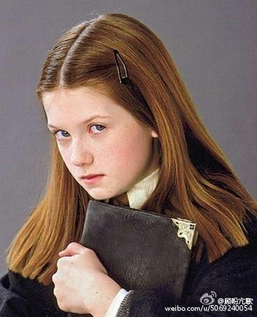 Ginny's Diary