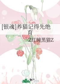 [Gintama] Remember to neuter cats first