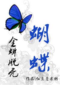 Golden Cicada Butterfly