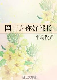 Hello Minister of Net King