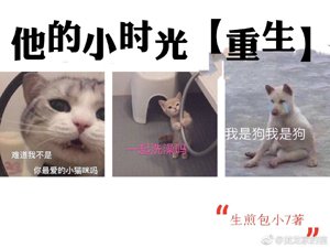 his childhood reborn