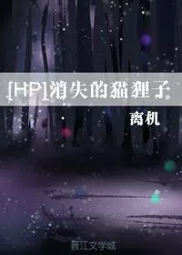 [HP] Disappearing Cat Raccoon