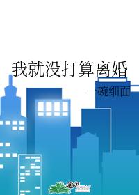 I didn't plan on getting a divorce