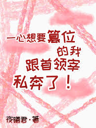 I eloped with the leader Zai, who wanted to usurp the throne.