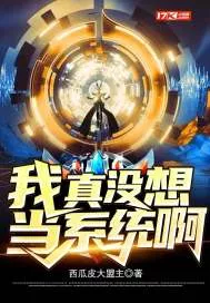 I Really Didn’t Want to Become a System