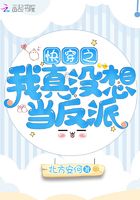 I really don't want to be a villain