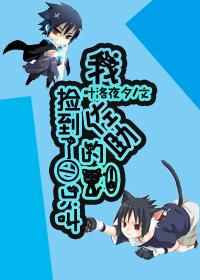 Infinity I found a cat named Sasuke