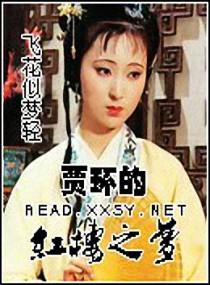 Jia Huan's Dream of the Red Chamber